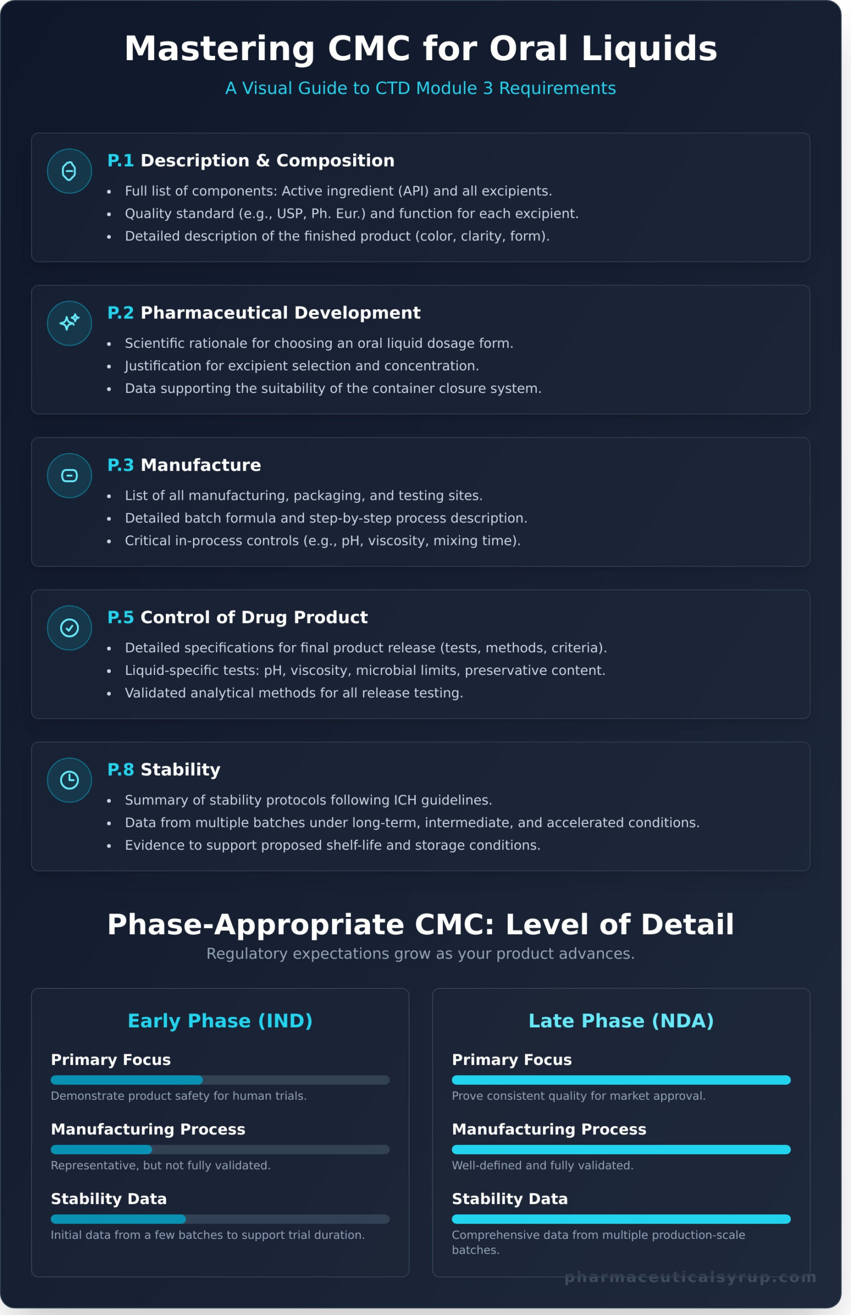 CMC Documentation for Oral Liquids: A Complete Checklist for Submission - Infographic